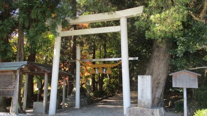 パワースポット探索~外宮・内宮と飯野高宮神山神社~