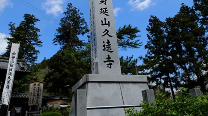 身延山のしだれ桜