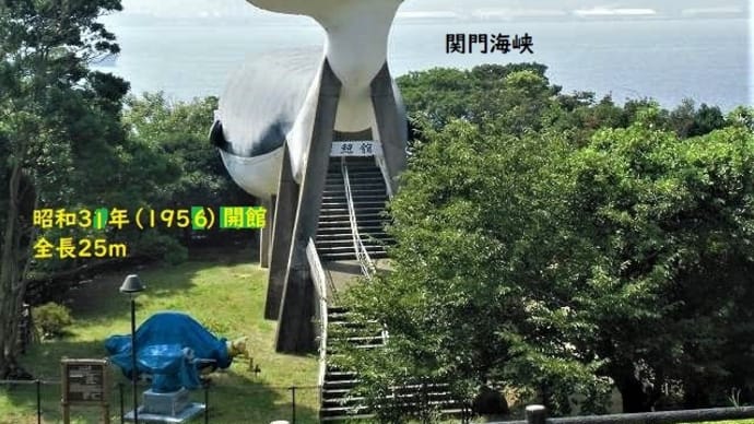 下関市長府「関見台公園・鯨館」&晩ごはん美味しかったニャ~ン😹