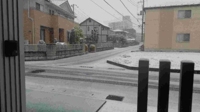 大雪だ～　(>_<)