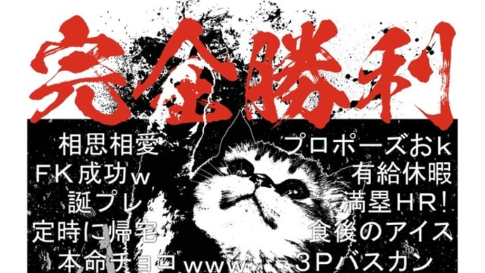 【完全勝利しました!】ガッツポーズねこちゃんが可愛いおもしろTシャツ♪
