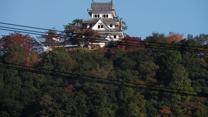 せせらぎ街道 紅葉してました①