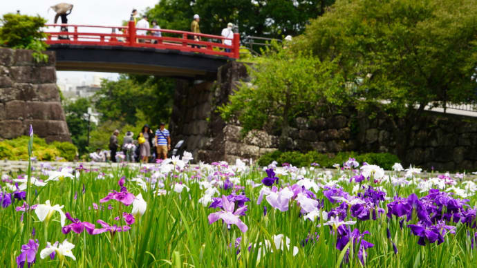 バス旅行で旬の花を②