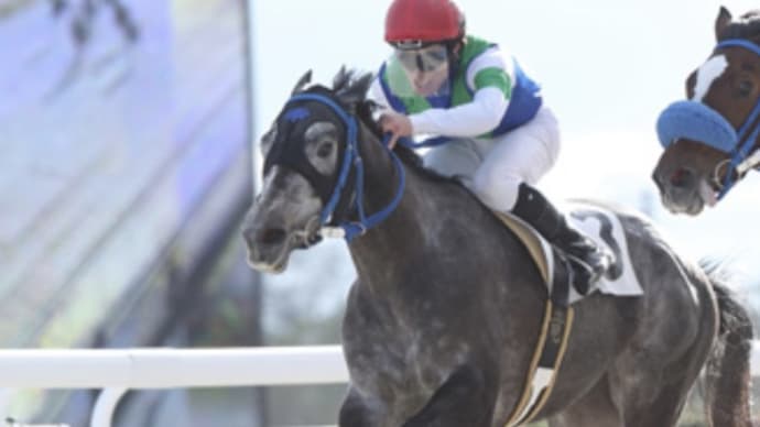 あと1勝✨