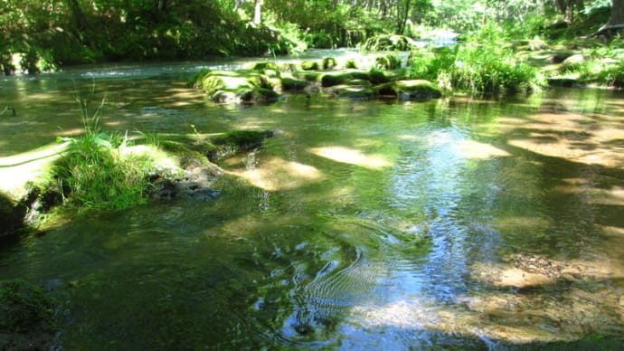 感謝の気持ちをアロマで・・・