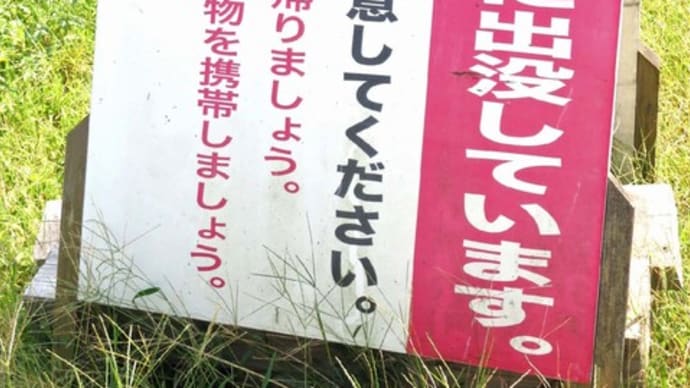 ★クマなど野生動物が出没 懸念される人への感染問題