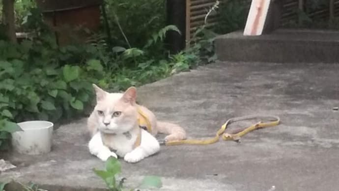 ひとりで生きているとおもうなよ。