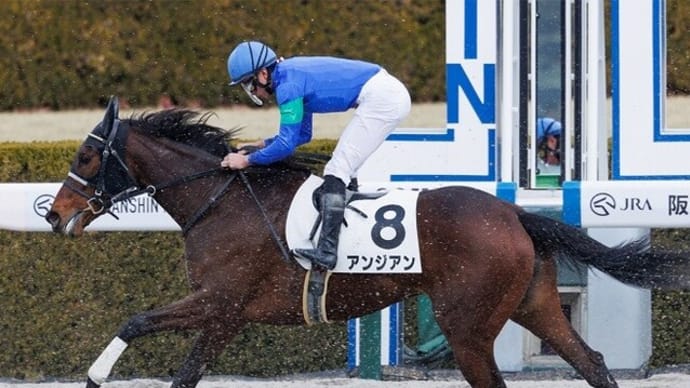 【アンジアン】再び馬体が430kgを超えて…