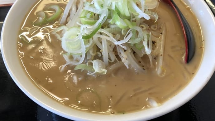 【福井市】胡椒のパンチが効いた「もやしラーメン」(なん・なん亭 幾久店)