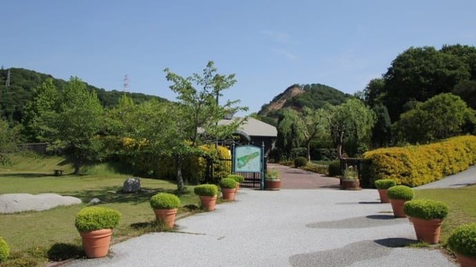 深山イギリス庭園~2020年5月24日