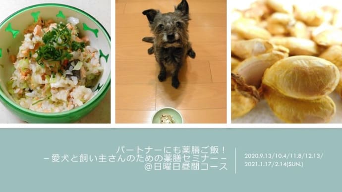 2020年後期:パートナーにも薬膳ごはん!-愛犬と飼い主さんのための薬膳セミナー-ベーシックコース開催します