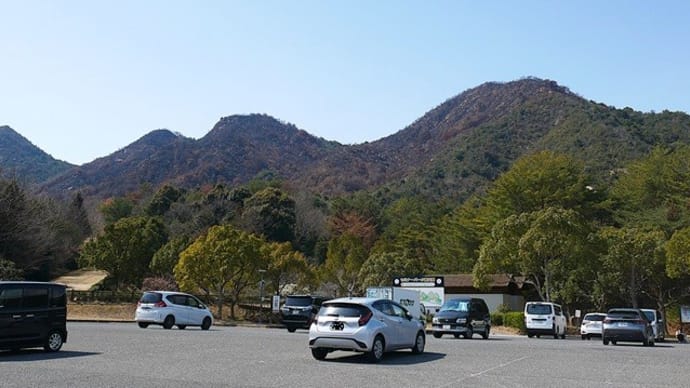 相次ぐ山林火災・・
