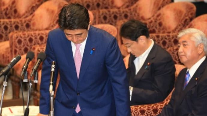 安倍首相がまた辻元清美議員の質問中に「意味のない質問だよ」とヤジ。前回も謝罪した（させられた）のを忘れたのか。