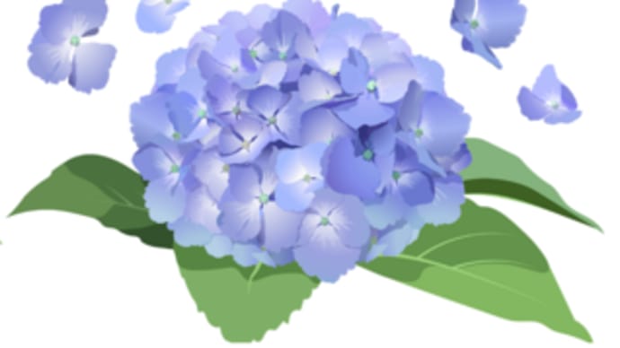 荒れ模様・色々と・・・