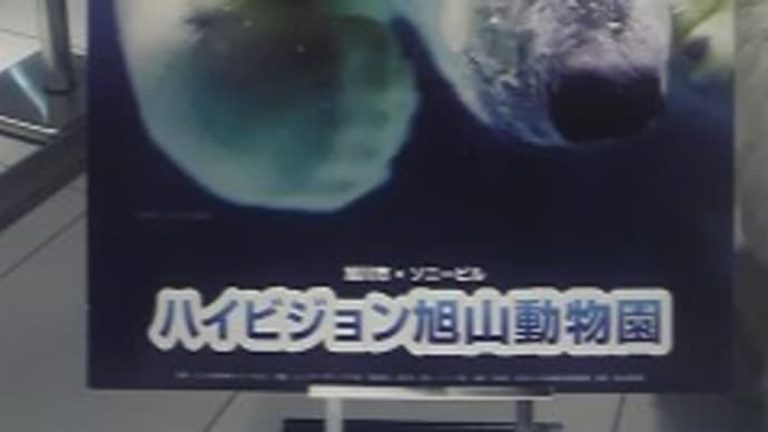 ハイビジョン旭山動物園