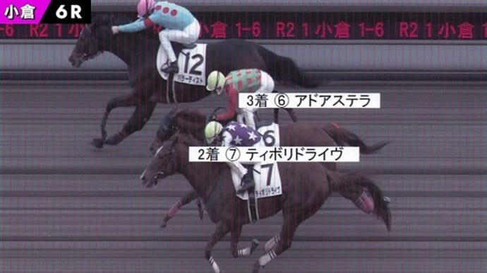 土曜日の出走（結果・シェダルが新馬勝ち♪＆バラーディストが連勝で２勝目♪）