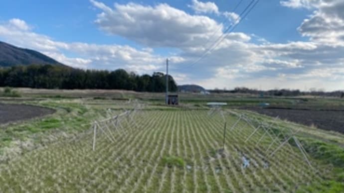 北条大池のちょっと先まで