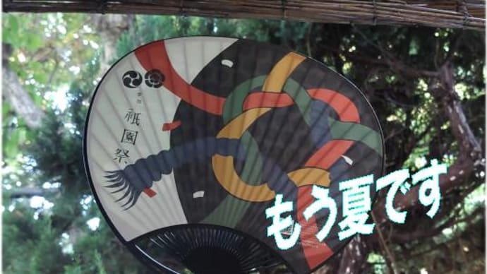 関西夏の定番　鱧（ハモ）涼しの料理・・・祇園チマキで番猫も、のんびり