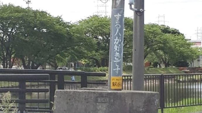 豪雨in酒田