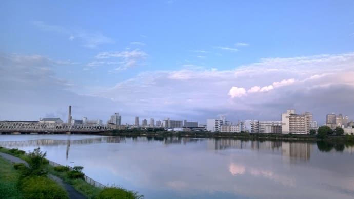 甲子園浜へのペダリング ・・・ 9月2日 キョウジョシギがいた!