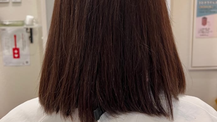 生えている髪・これから生えてくる髪の毛の邪魔をしないヘアピース