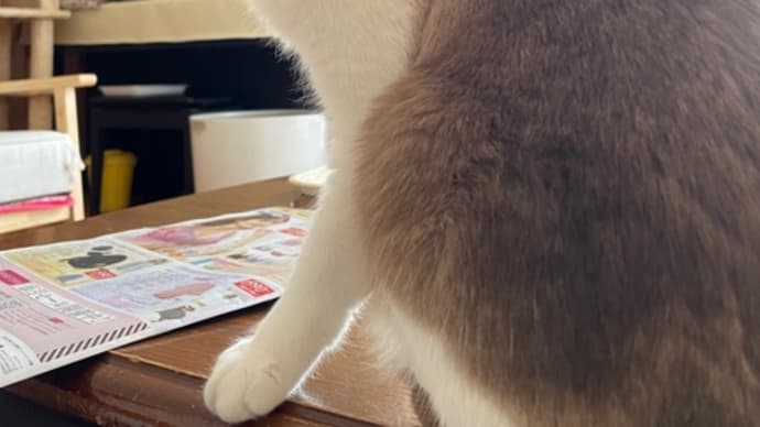 290. 空さんの毛の濃さ
