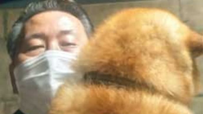 柴犬・空海 は オモシロイ