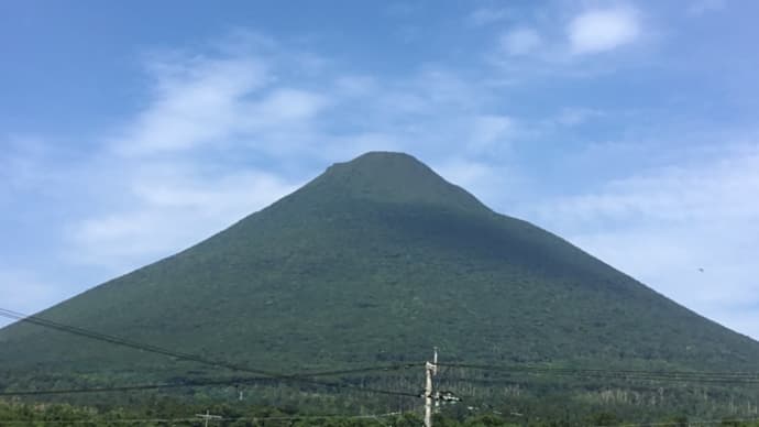 人生初!生マムシに遭遇!!