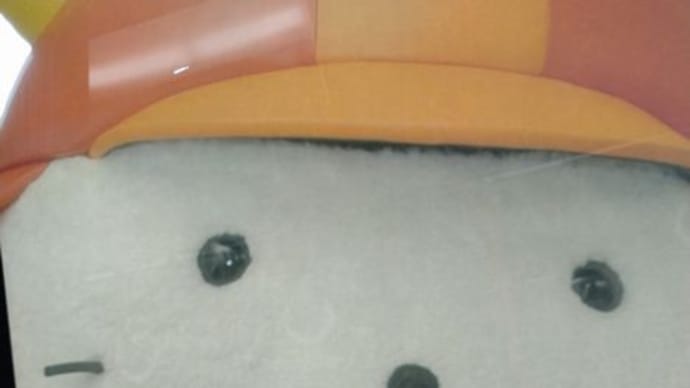 やっぱり可愛い、ひこにゃん