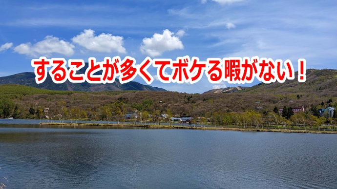 することが多くてボケる暇がない!