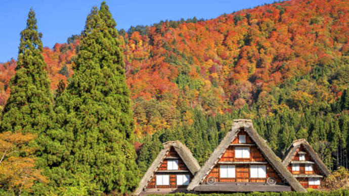 一度は訪れたい！美しすぎる日本の紅葉絶景18選　2023年10月17日（土）