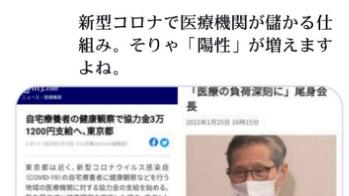 狂気!神業PCR検査せず【コロナ陽性診断】1人に付き…医療機関に【3万1200円】新型コロナで医療機関が儲かる仕組み!そりゃ【陽性】が増えますよね!日本の大衆よ【コロナは詐欺】ワクチンで人口削減作戦
