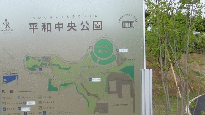 ブルーシートの中身が気になる!(横須賀市「平和記念公園」)