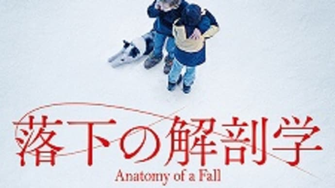 映画:「落下の解剖学」