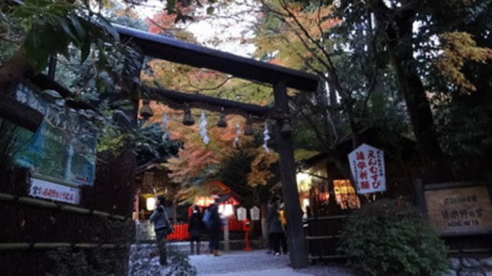 野宮神社の紅葉と青苔の庭　＠　京都妖怪探訪（３２０）
