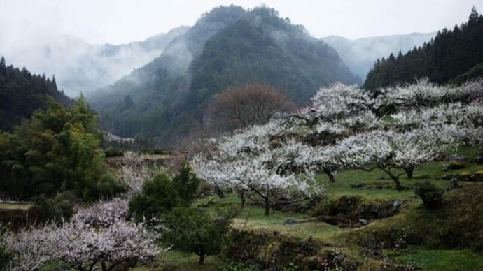 【驚き！】3月30日、福岡に黄砂が飛来！遠くの景色が霞む…自然界からの警告？