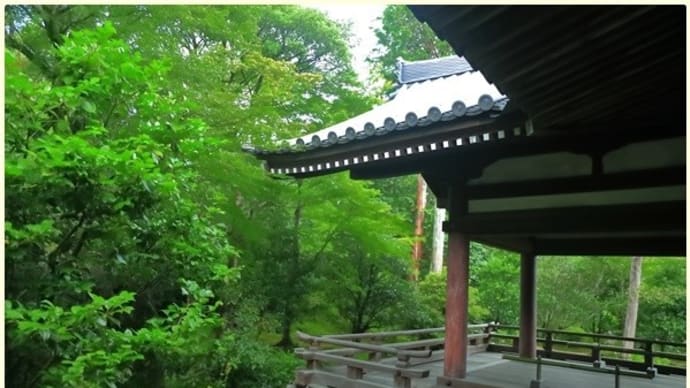 京都 法金剛院で見つけた~