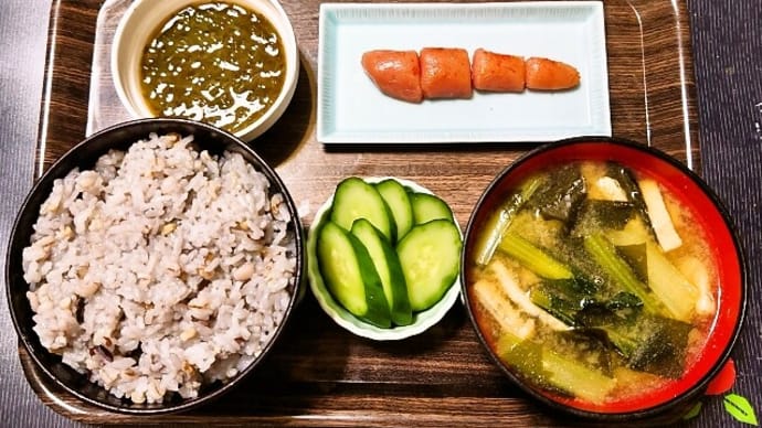 家で朝ごはん(十六穀ごはんに辛子明太子、めかぶポン酢、小松菜と油揚げのみそ汁、きゅうりのぬか漬)(2024年9月11日)