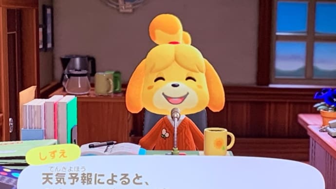 新年
