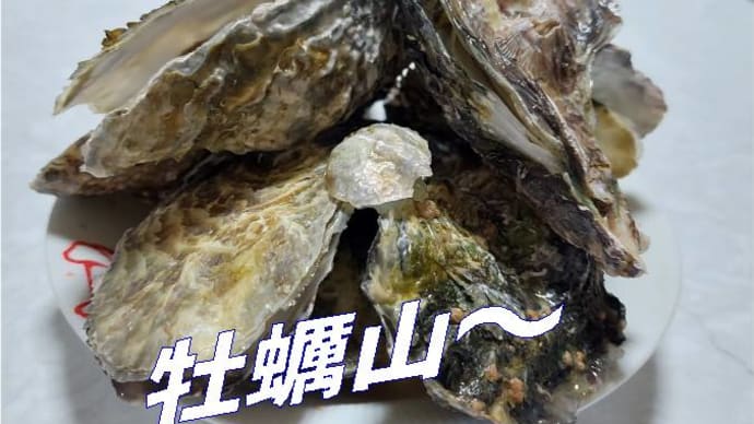 2月~3月は牡蠣の旨い旬!🌟簡単調理フライパンで5分だけ!&とんかつ茶漬けがまたいい感じ
