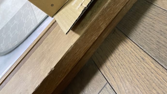 箱入り娘