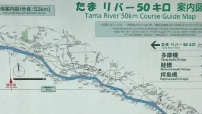 ゆかちゃんわたしのFive-0 記念50km その1