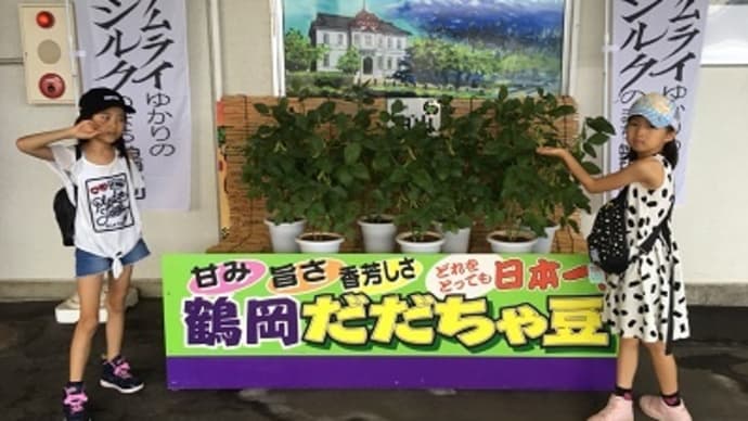 バイバイ山形