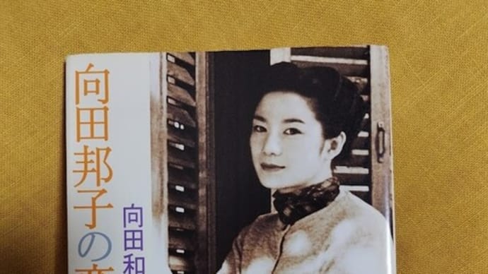 映画鑑賞、散歩、寄り道の合間の読書📚⌛🎦👣⌛