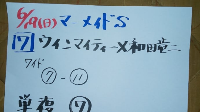 6月19日(今日の重賞レース)より