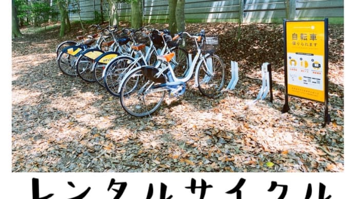 レンタルサイクル最高✨
