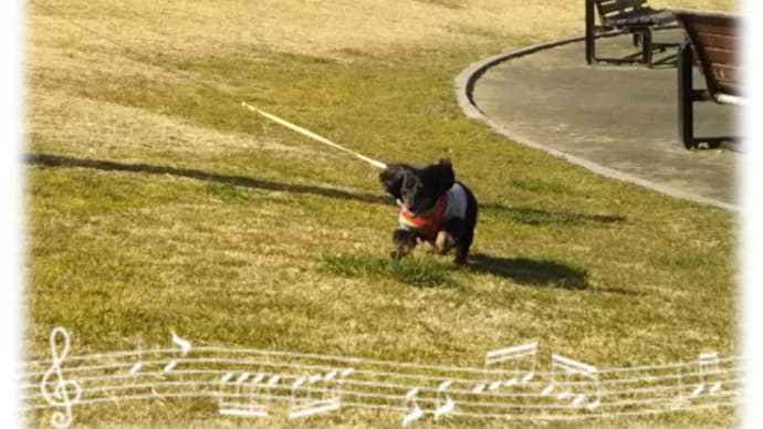 走ってる~~♪