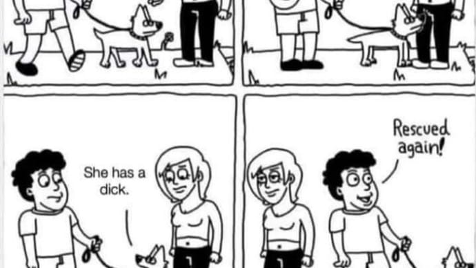 This Rescue Dog Would Seem Like A Good Idea. 😀😃😄😁😆😅😂🤣😇😈🤴👸🐔🐱🍆🍓🐶