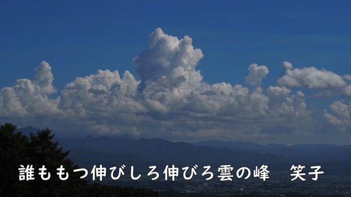 雲の峰・夏休みのお出かけ~ポケモン化石博物館