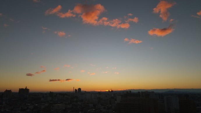 バラはバラ